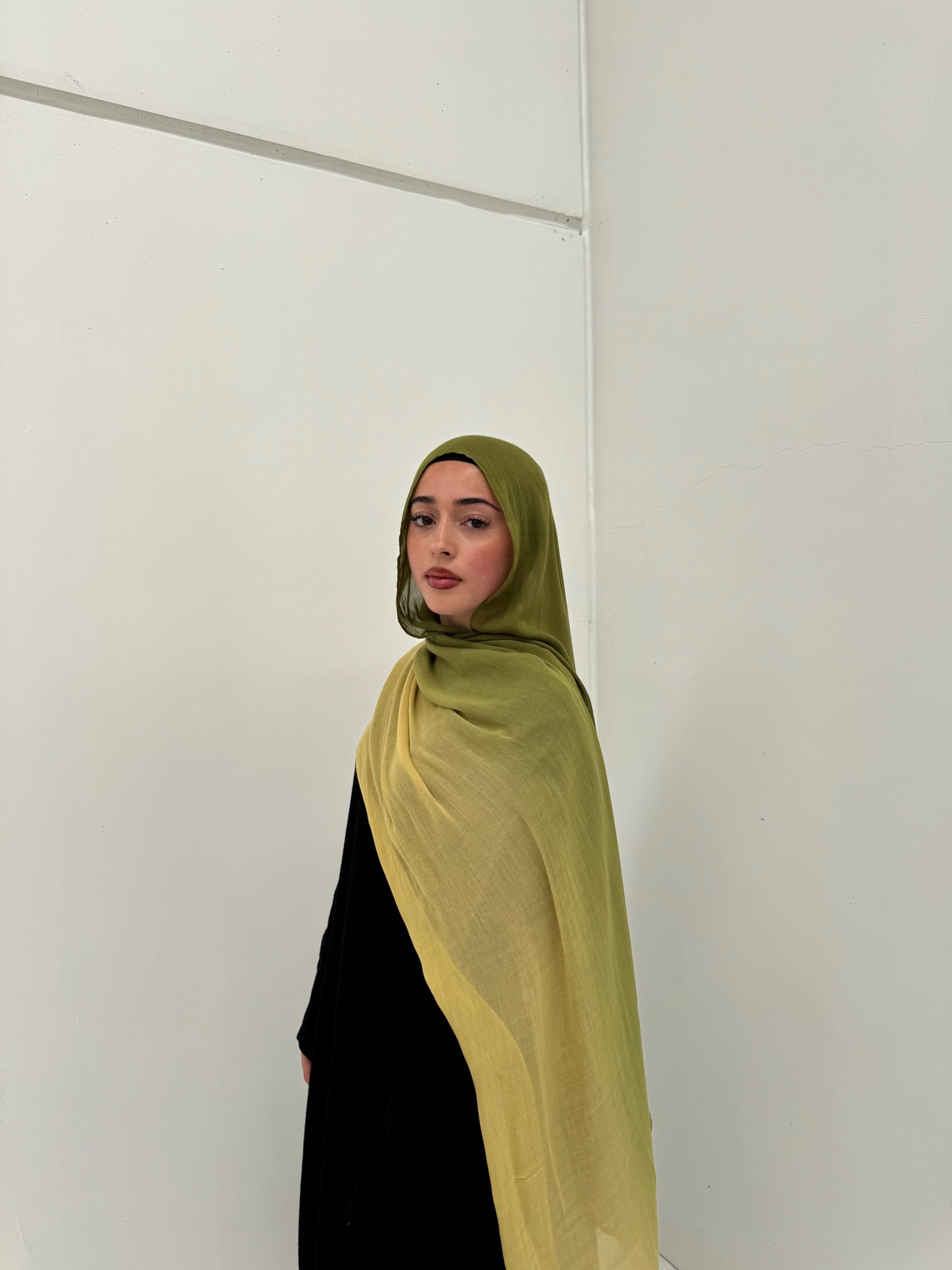 Ombré Modal Hijab | Meadow
