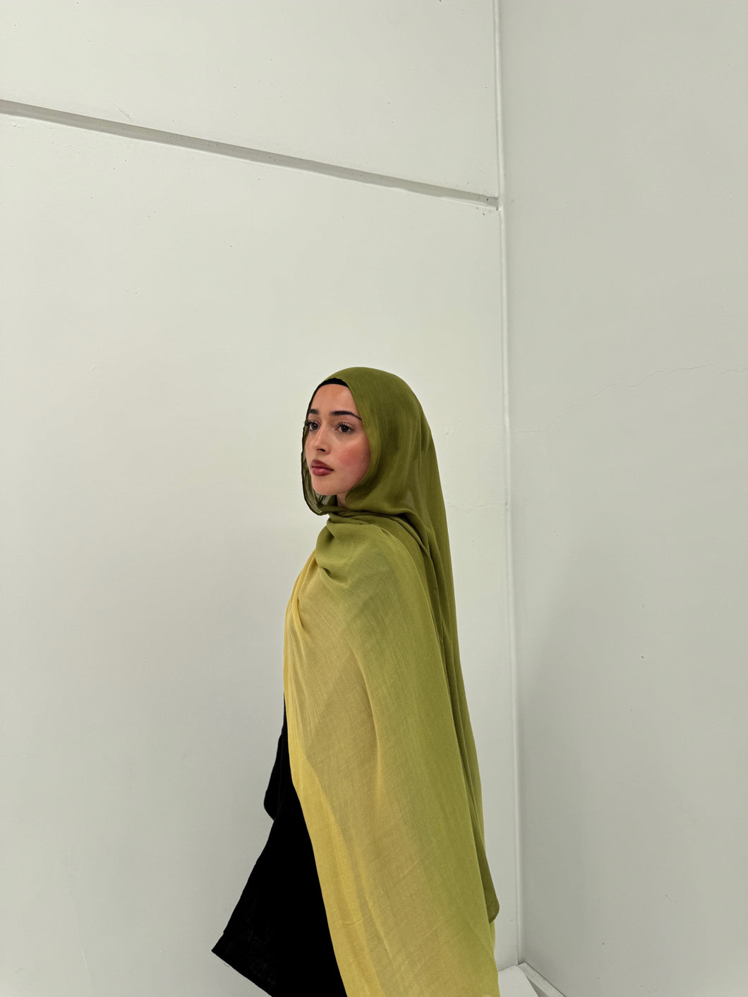 Ombré Modal Hijab | Meadow