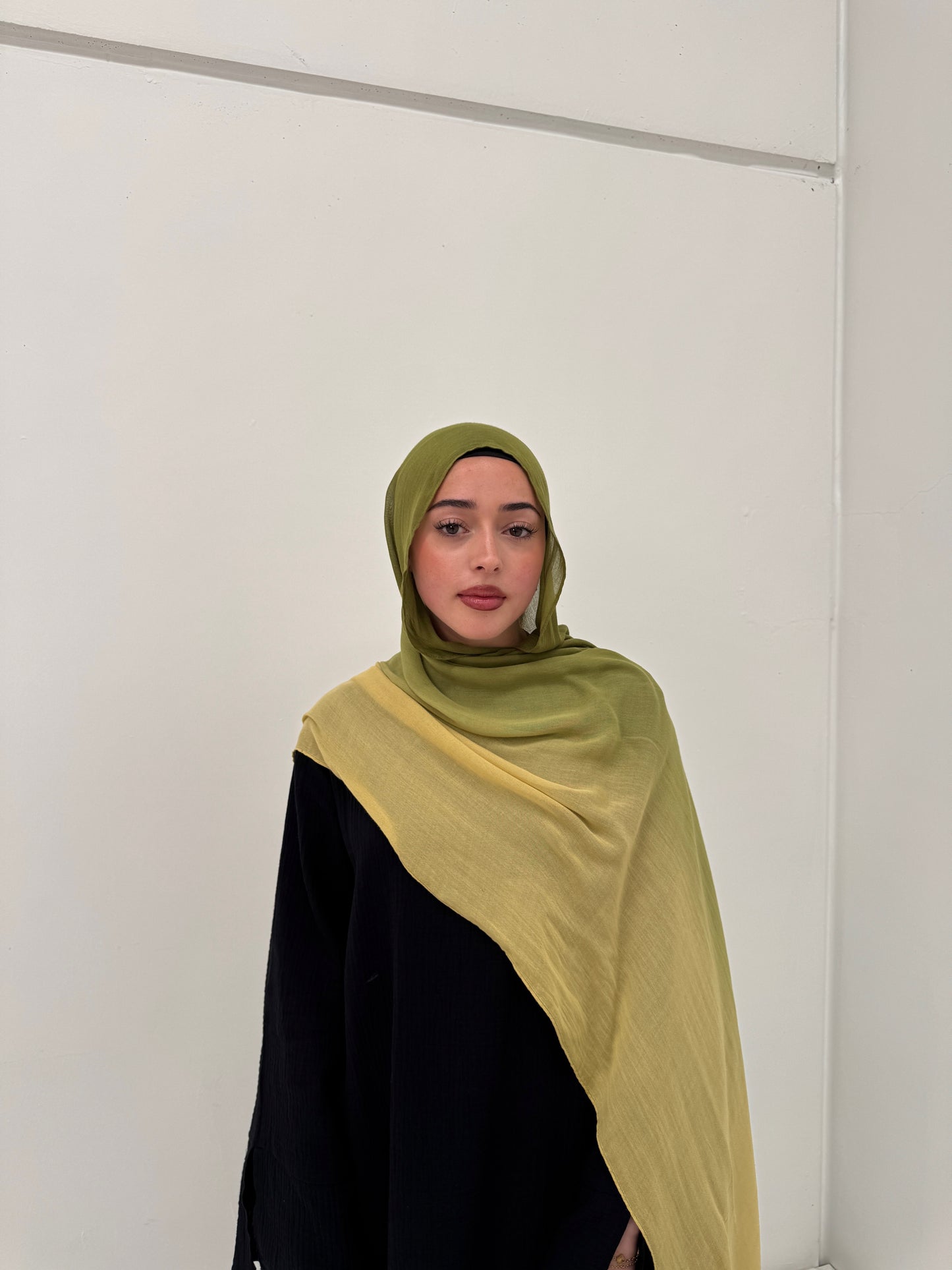 Ombré Modal Hijab | Meadow