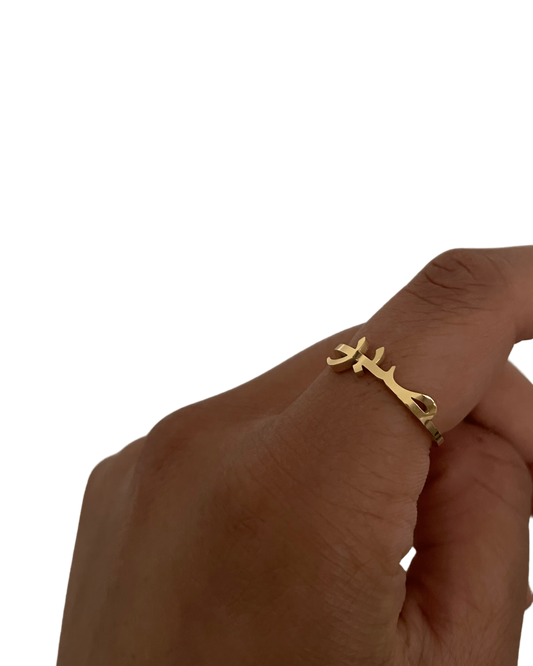 Sabr / ‏صبر / Arabic ring